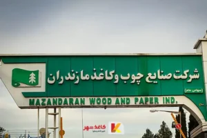 شرکت چوب و کاغذ مازندران